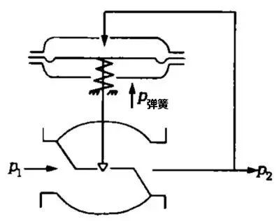 202308021929.jpg 2.jpg